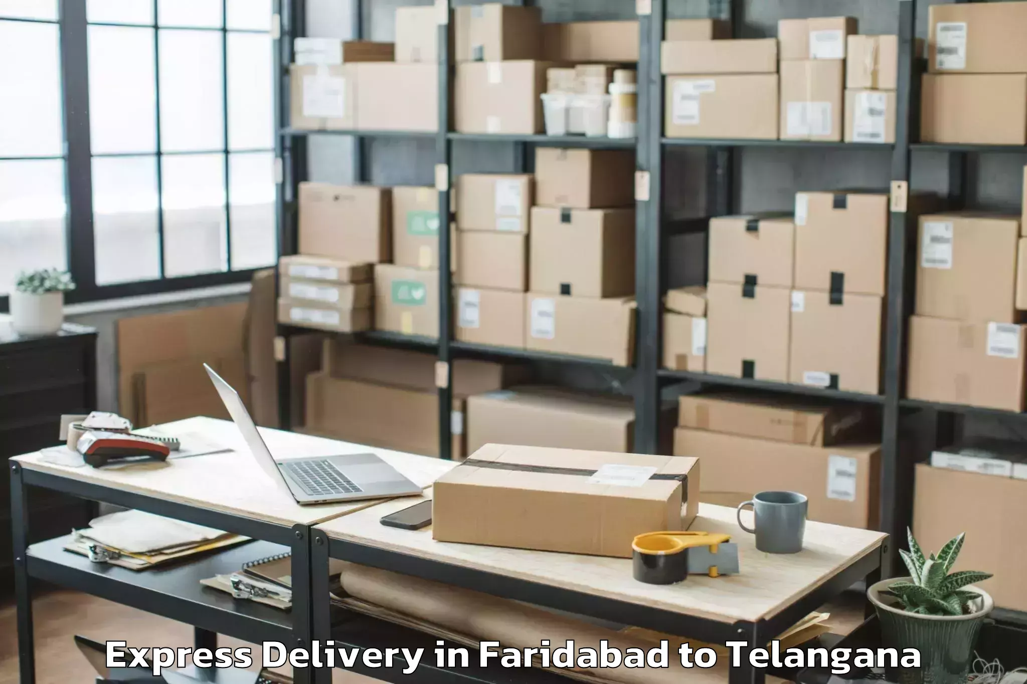 Expert Faridabad to Peddapalle Express Delivery